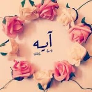 Meet your Posher, Ayah